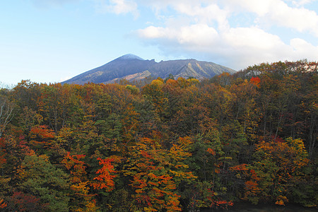 松川谷的多彩树叶地平线木头森林旅游溪流季节性植物图片