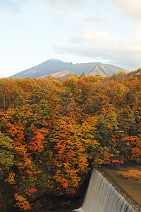 松川谷的多彩树叶地平线木头旅游植物森林季节性溪流图片