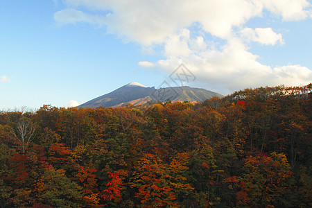 松川谷的多彩树叶旅游植物溪流森林地平线季节性木头图片