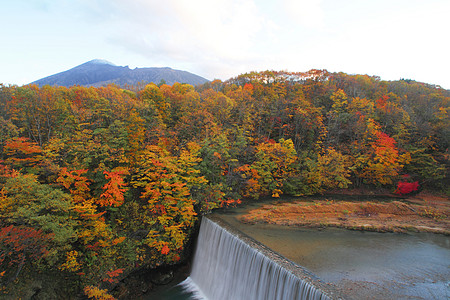 松川谷的多彩树叶旅游森林木头植物季节性溪流地平线图片