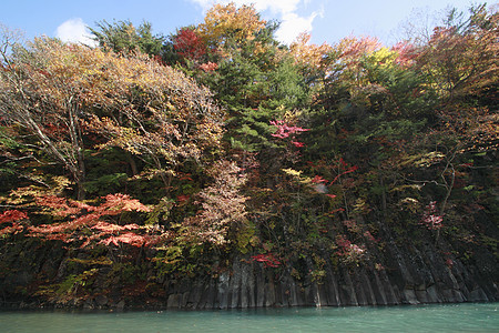 松川谷的多彩树叶黄色旅游季节性木头植物森林地平线溪流图片