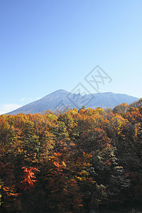 彩色叶子和伊瓦特山黄色季节性地平线旅游溪流树叶植物森林木头图片