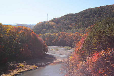 松川谷的多彩树叶森林木头地平线旅游植物溪流黄色季节性图片