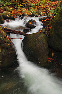 Oirase河秋光颜色石头瀑布岩石季节橙子溪流叶子苔藓公园企流图片