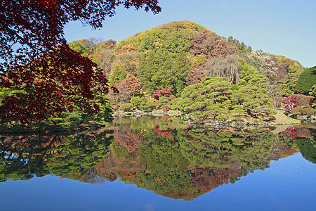 彩色叶子蓝天橙子花园季节红色植物树叶池塘图片