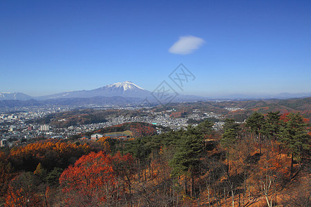 山地蓝天空天空绿色季节蓝色黄色全景红色树叶图片