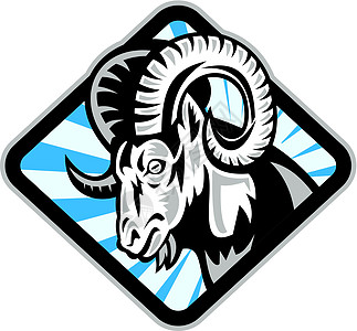 Bighorn 拉姆羊羊山羊图片
