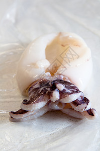 新鲜的鱿鱼烹饪市场生活腹足塑料厨房团体食物乌贼触手图片