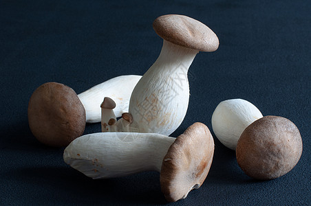 牡蛎王蘑菇小盘食物侧耳喇叭国王美食杏仁平菇团体食用菌图片