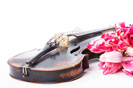 黑色旧小提琴粉色娱乐音乐音乐会郁金香文化民间指板花朵艺术图片