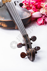 黑色旧小提琴艺术花朵乐器音乐明信片木头海报细绳娱乐指板图片