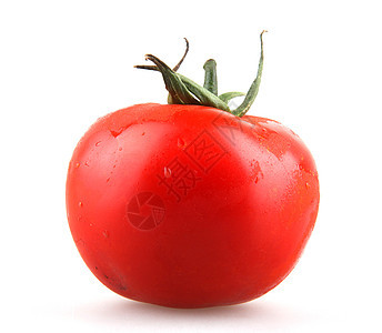 番茄照片股票相片植物食谱免版税白色生长库存种子背景图片