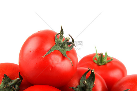 番茄食谱库存照片白色股票生长种子免版税植物相片图片