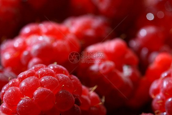 草莓背景食物红色水果甜点杂货店生产味道诱惑覆盆子红宝石图片