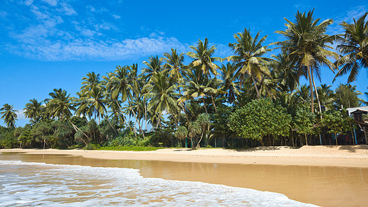 依德利海滩 斯里兰卡海岸假期海洋棕榈天堂丛林风景蓝色娱乐图片