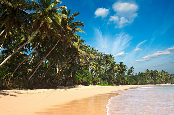 依德利海滩 斯里兰卡海岸假期海浪蓝色丛林晴天娱乐海滩地平线图片