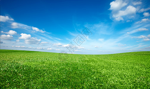 蓝天空下绿青新草地草原土地活力阳光场地天堂太阳天空国家农业图片