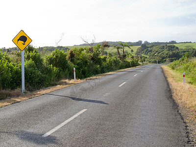 NZ农村公路Kiwi交叉路标保护濒危国家钻石猕猴桃运输小路指示牌注意力流浪图片