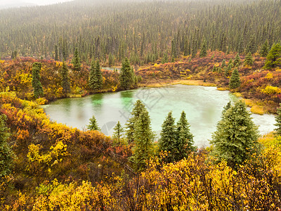 加拿大育空T 育空地区荒野湖的秋雨树木森林山脉日光原始森林下雨池塘异国情调自由图片