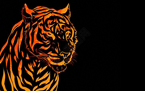 老虎头危险动物橙子毛皮眼睛丛林打猎美丽胡子哺乳动物图片