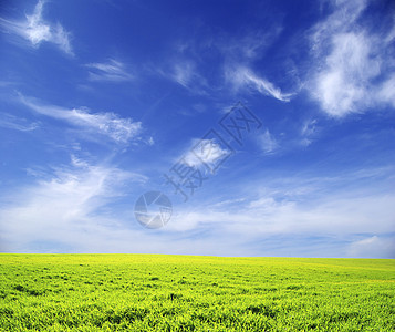 字段场地天气风景阳光草地农业乡村地平线农场季节图片