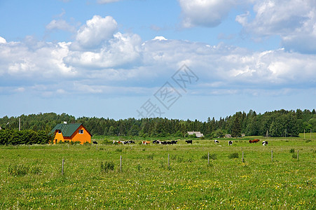 国家办事处风景场地蓝色土地农场农田白色黑色乡村天空图片