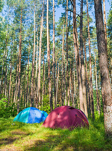 在森林中野营木头野餐森林游客天空日落场地闲暇国家帐篷图片