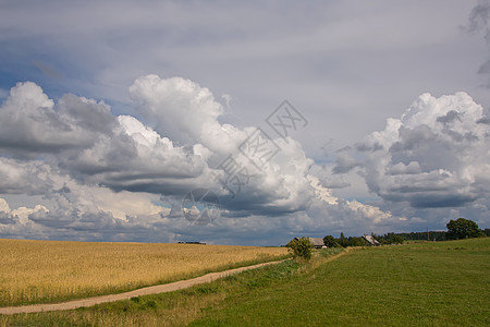 夏季地平天空风景乡村场景牧场土地蓝色绿色阳光农业场地图片