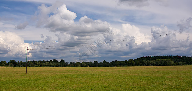 夏季地平天空土地场景阳光风景场地绿色全景农业草地牧场图片