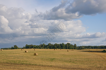 夏季地平天空土地草地风景场景绿色阳光牧场城市乡村农业图片