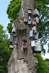 树干花彩的鸟巢箱图片