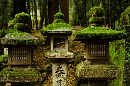 纳拉的石灯寺庙森林灯笼文化宗教石头苔藓神社传统背景图片