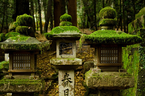 纳拉的石灯寺庙森林灯笼文化宗教石头苔藓神社传统图片