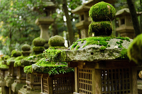 纳拉的石灯苔藓寺庙神社传统石头森林文化宗教灯笼背景图片