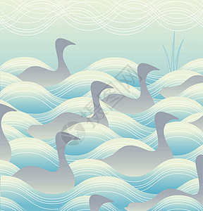 鸭子在水中动物池塘团体鸟类游泳插图波浪野生动物野鸟图片