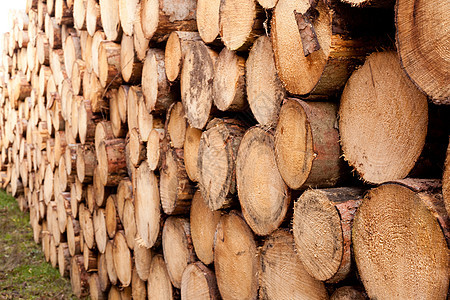 堆叠树干的背景纹理模式林业乡村木材环境柴堆森林木头活力燃料记录图片