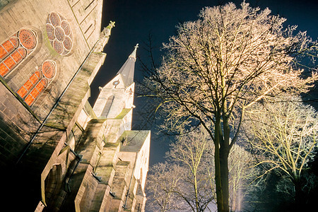 夜间大型石块教堂阴影树木大教堂祷告角落建筑历史性信仰上帝窗户图片