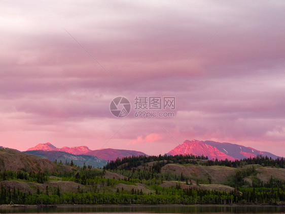 远处的育空山脉在日落光下发亮森林寂寞地区阳光辉光假期全景日光日落针叶林图片