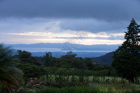 近山小花园背景图片