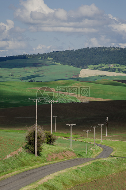 美国爱达荷州华盛顿和拉塔州惠特曼县县Idaho的农村公路和春田下图片