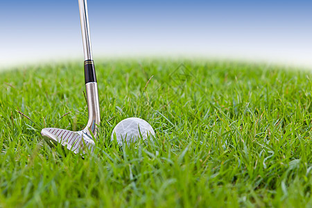 在高草上打高尔夫球和铁蓝色空白圆圈爱好绿色游戏圆形运动草地俱乐部图片