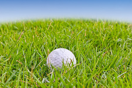 高草上的高尔夫球绿色曲线圆圈爱好竞赛物品运动游戏空白圆形图片