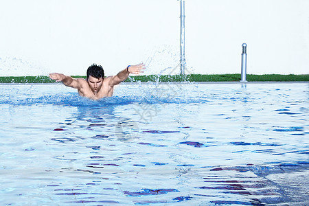 蝴蝶业余爱好游泳运动员在行动图片
