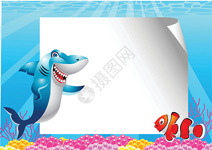 鲨鱼和有空白标志的小丑鱼图片