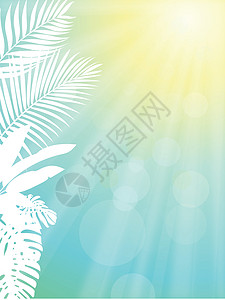 棕榈树框架背景荒野植物木头叶子生态丛林插图蓝色生长棕榈图片