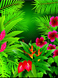 热带雨林森林背景季节木头环境插图植物棕榈热带雨林衬套边界图片