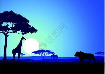 野外背景旅游艺术蓝色动物狮子荒野日落异国旅行国家图片