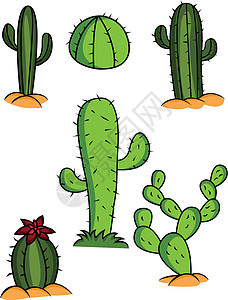 Cactus 收藏器图片