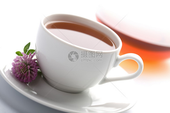 白杯草药茶 茶壶和青柳花图片