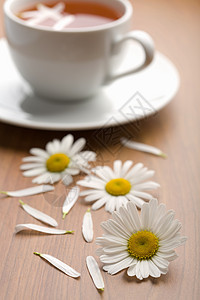 白杯草药茶和甘菊花草本植物餐厅咖啡店桌子木头陶瓷甘菊饮料杯子叶子图片